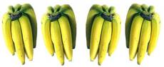 Bananen-4x6.jpg